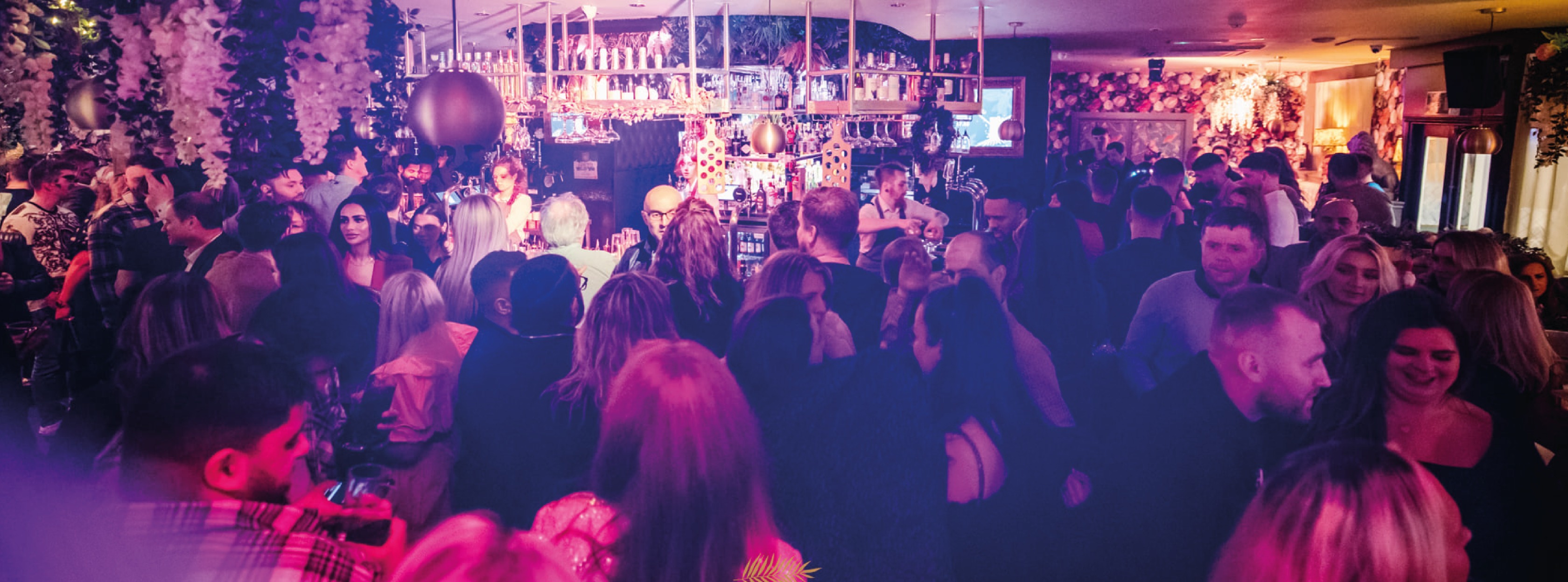 Baluga Bar & Club